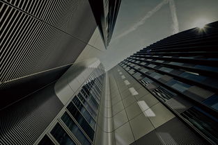 南平app研發公司 好用的互聯網it推薦